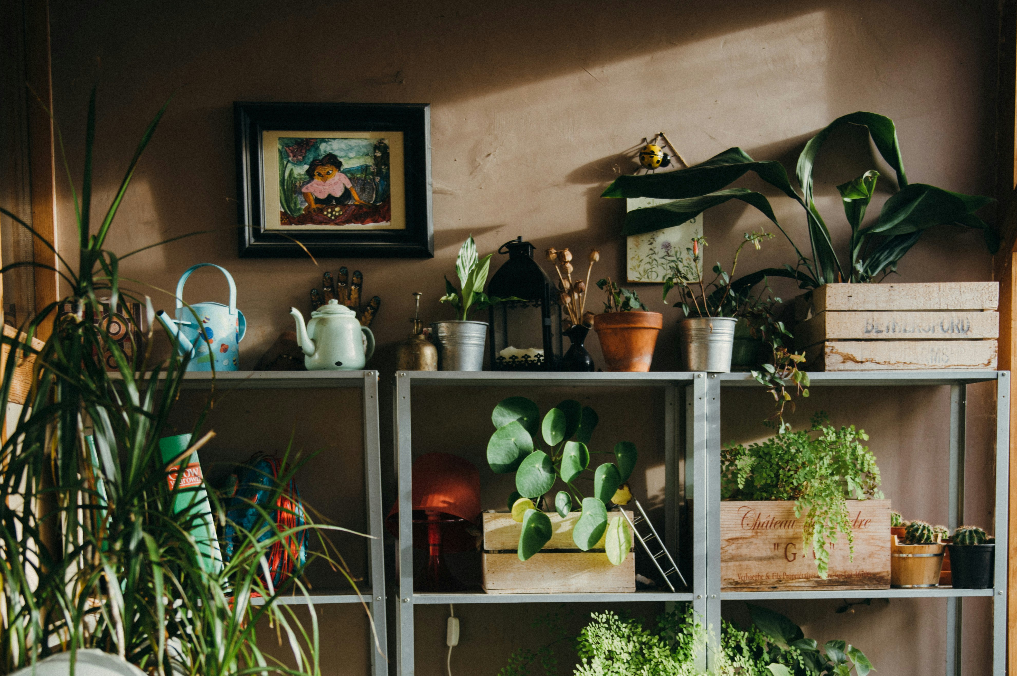 landscape photo of assorted-variety plate on rack